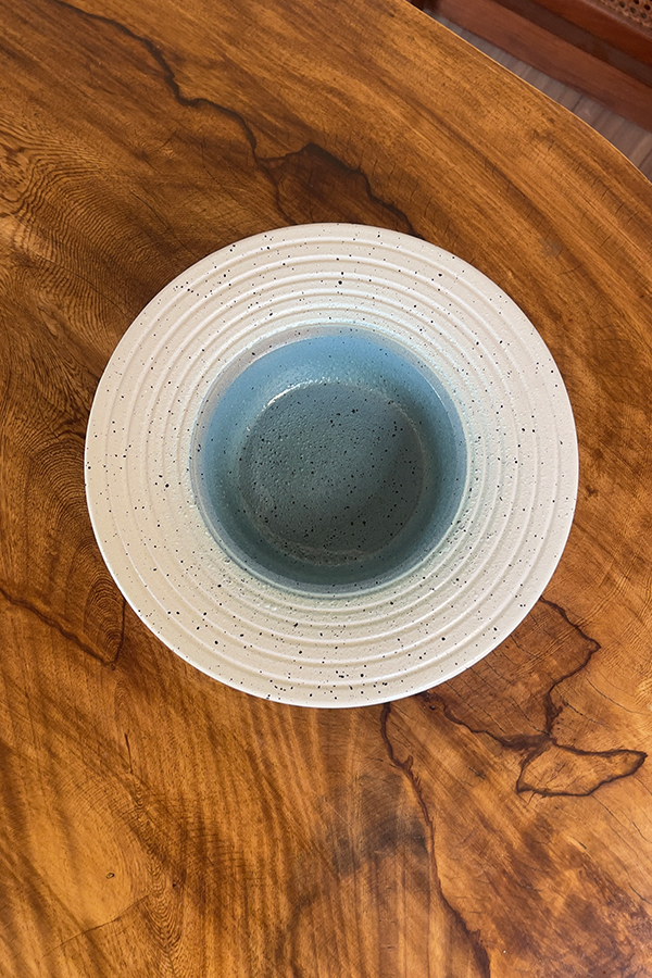 Oasis Pasta Plate A premium stoneware pasta plate with a unique wide rim design. It features a beautiful mix of creamy white and a soft blue-grey center with natural dark speckles. With its deep center, it is perfect for serving pasta, risotto, or warm soups.